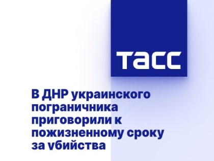 В ДНР украинского пограничника приговорили к пожизненному сроку за убийства