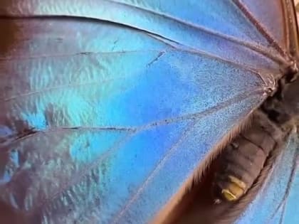 Спокойной ночи, Мариуполь!