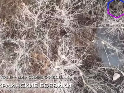Ударные БЛА 3 бригады уничтожают личный состав противника