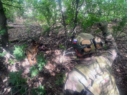 Росгвардейцы обнаружили в ДНР вооружение и экстремистскую литературу украинских боевиков