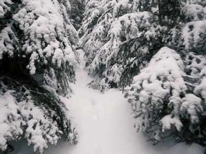 Прогноз погоды на 05.01.2023