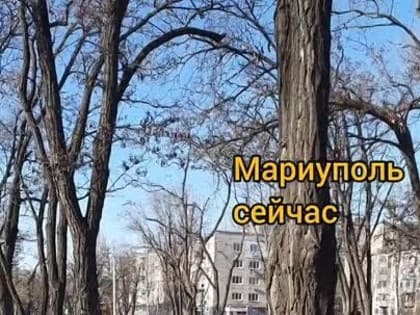 Школа №27 в Мариуполе после ремонта