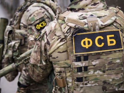 В Мариуполе задержали женщину за передачу денег для терактов
