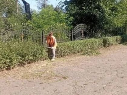 В Мариуполе сотрудники «Зеленстроя» облагораживают живые изгороди