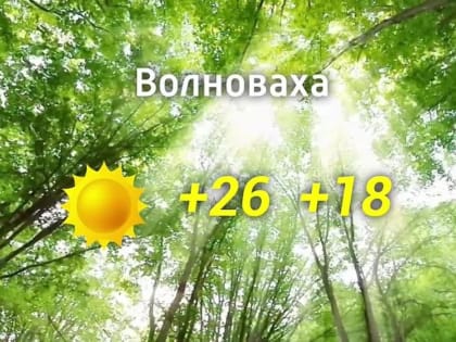 Прогноз погоды на 12.08.2024