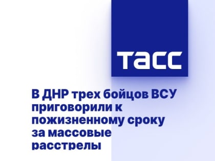 В ДНР трех бойцов ВСУ приговорили к пожизненному сроку за массовые расстрелы