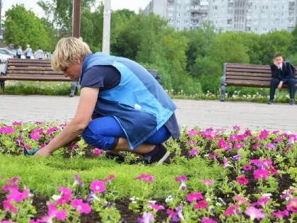 В Мариуполе из-за жаркой погоды скорректируют график работы одной из городских служб