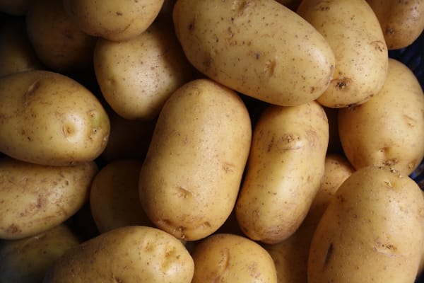 The Food Is Getting Bigger, the Nutrition Isn't: What Nutrient Dilution Means for Your Fields