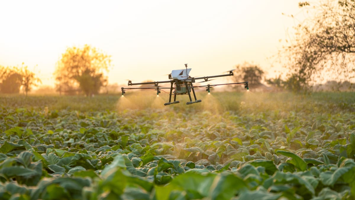 Aerial farmland