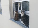 Malla de seguridad para ventana — foto 1