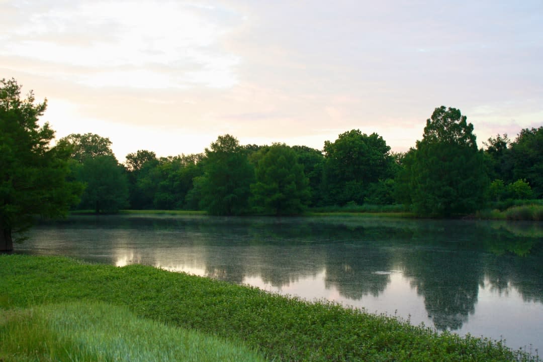 Nature Serenity