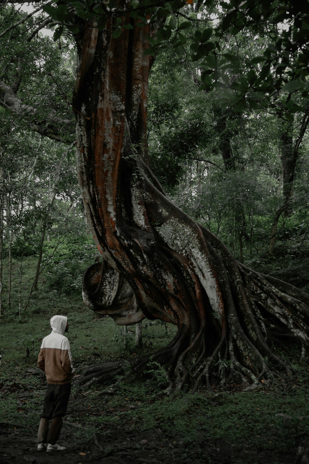 Storytelling