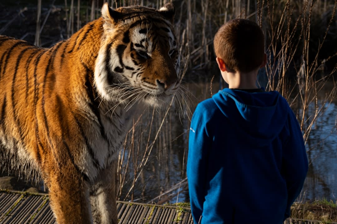 Wildlife