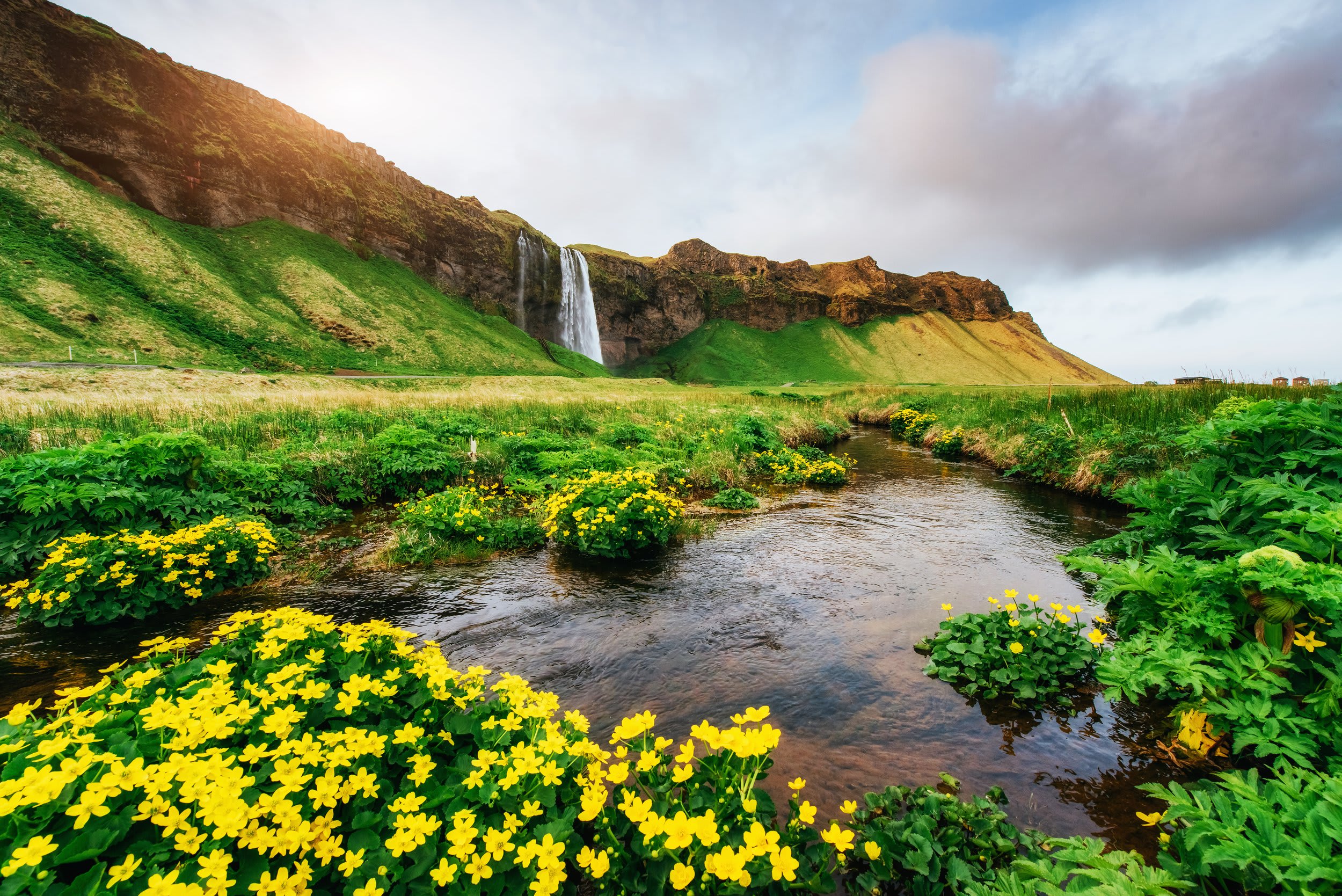 Nature 4