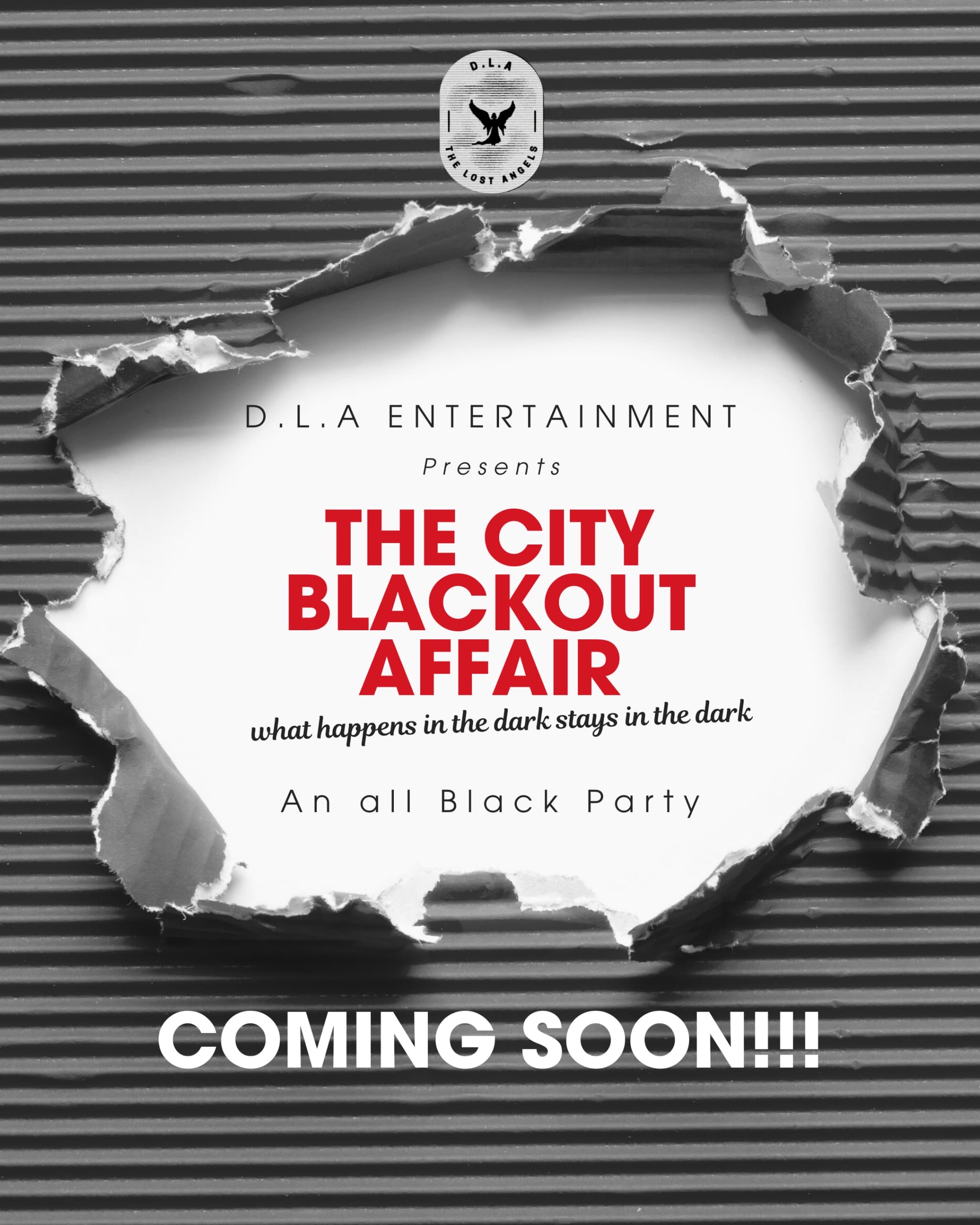 THE CITY BLACKOUT AFFAIR