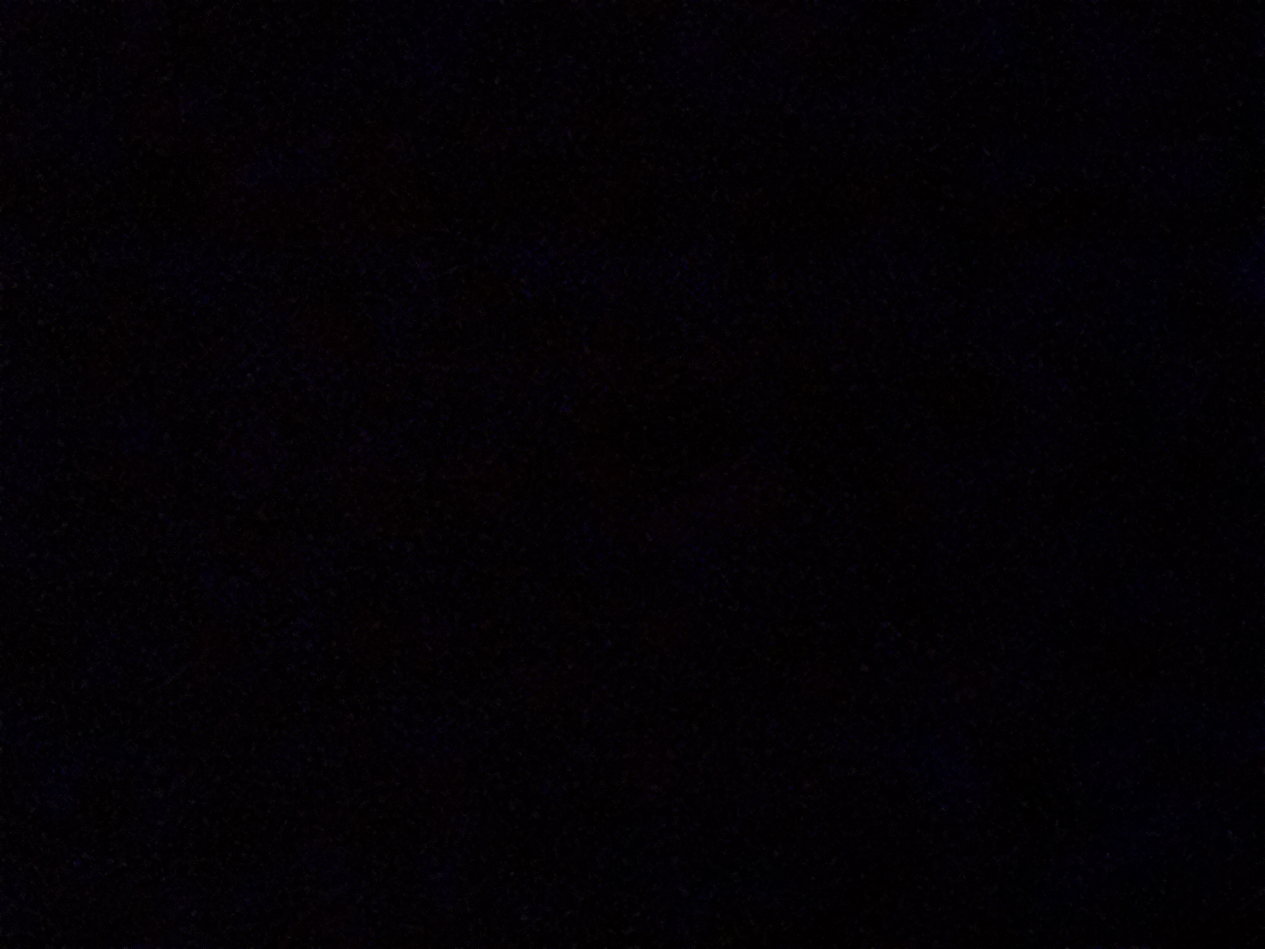 ROADBLOCK: ALL STARS