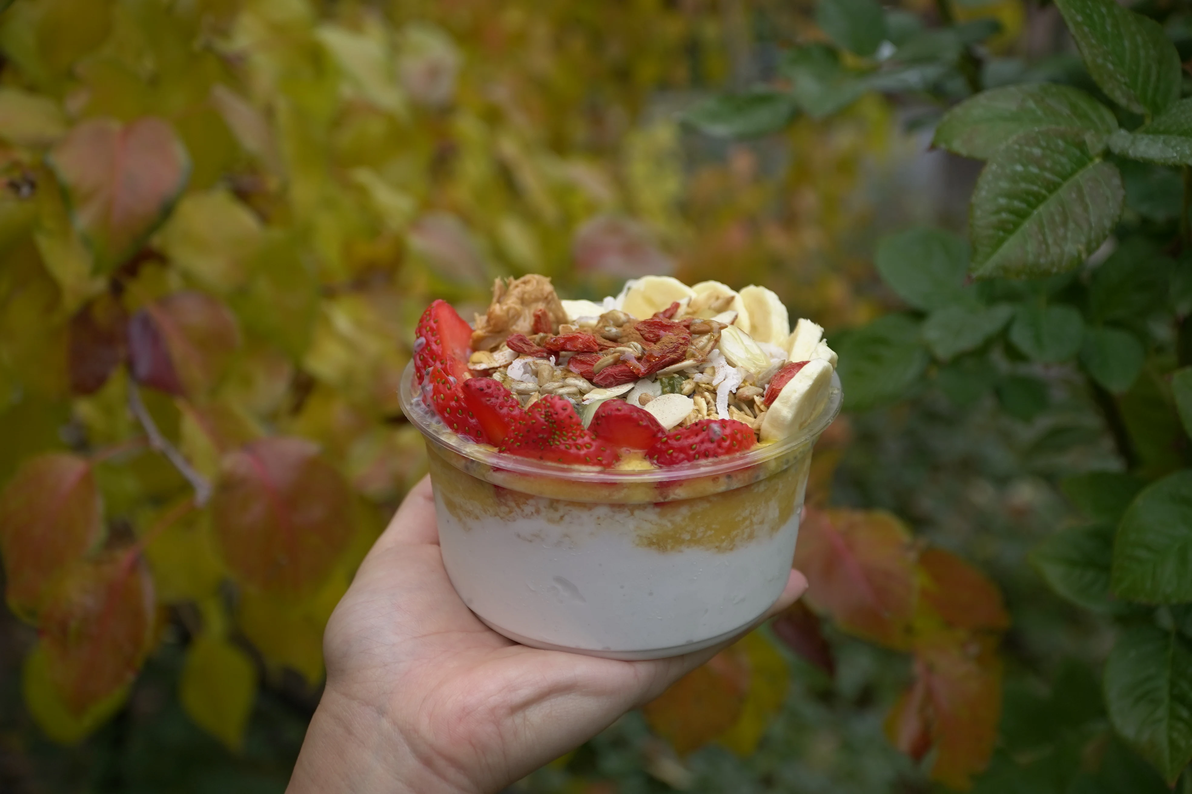 menu Blossom