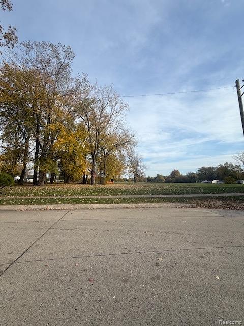 14029 Sidonie Avenue, Warren — photo 4