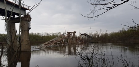 Міст має довжину 628 м. Берегові прогони виконані