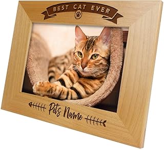 Best Cat Ever Personalized Picture Frame product image