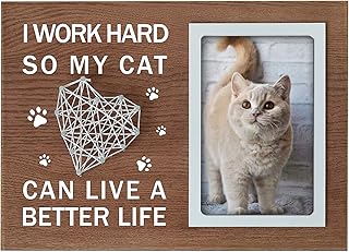 Buecasa Cat Lover Picture Frame with 3D String 4x6 Inches