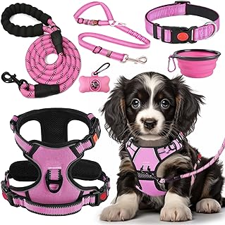 LOBEVE No Pull Dog Harness, Collar & Leash Set with accessories for dogs