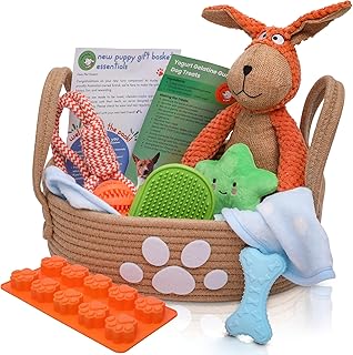 Premium Puppy Starter Kit with essentials and toys for new dog owners