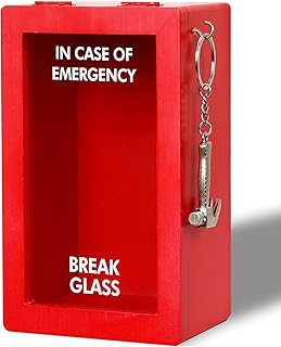 Funny Emergency Box w/Hammer, Break in Case of Emergency Box, Personalized Gift