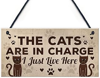 Red Ocean Funny Cat Gifts For Cat Lovers Gift For Women Home Decor Plaque Animal Sign Pet Novelty Gifts product image