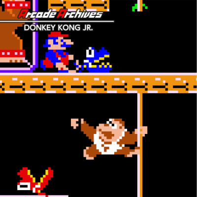 Donkey Kong Jr.