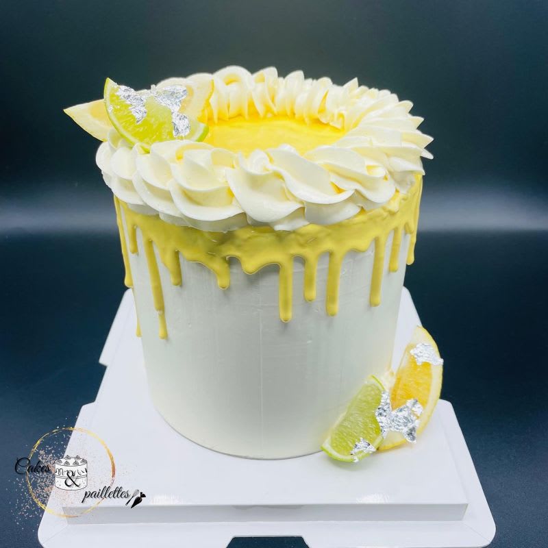 Allocakes Trouve Ton Gateau Ou Ton Patissier Cake Designer Allocakes Trouve Ton Gateau Ou Ton Patissier Cake Designer