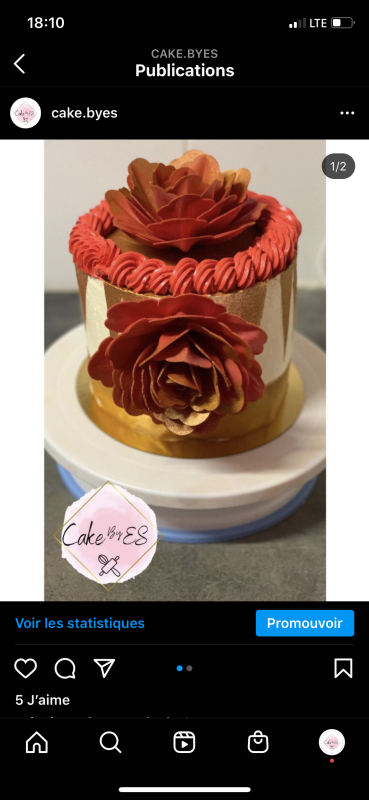 Allocakes Trouve Ton Gateau Ou Ton Patissier Cake Designer