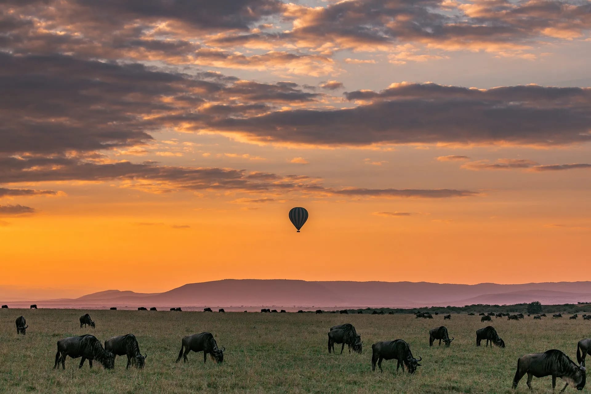 Premium balloon safaris with champagne breakfast included