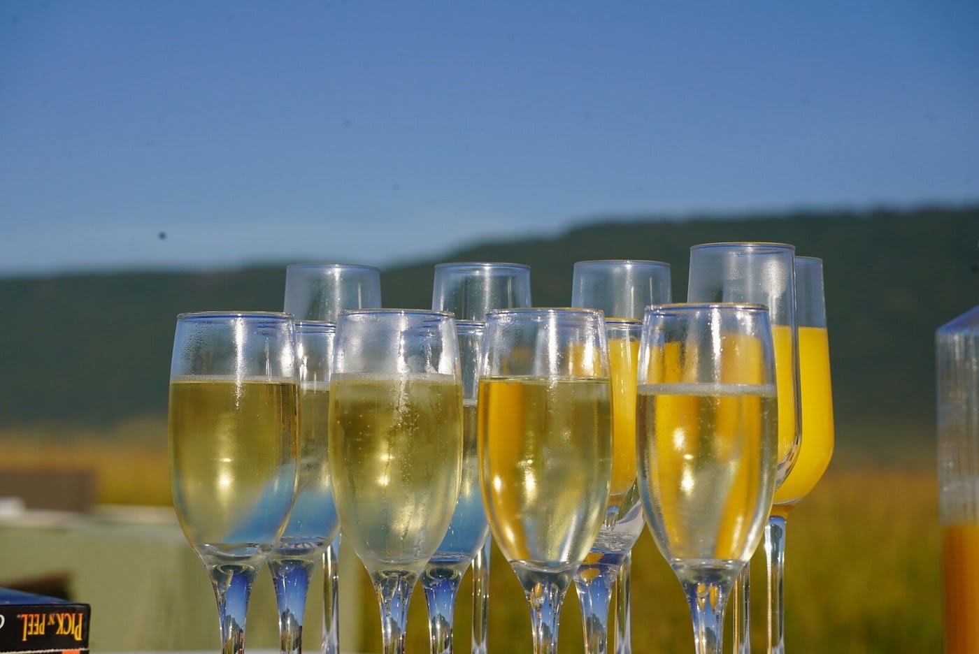 Landing & Celebration
