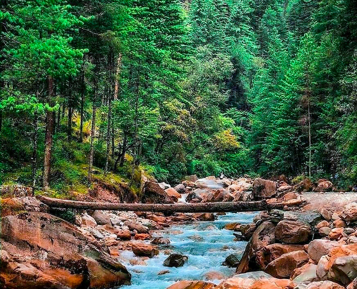 Kheerganga Trek with Camping Itinerary Day 2