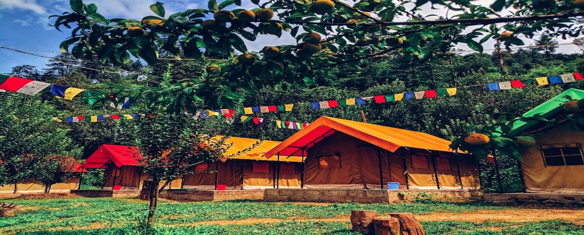 Workcation in Kasol (Camp)