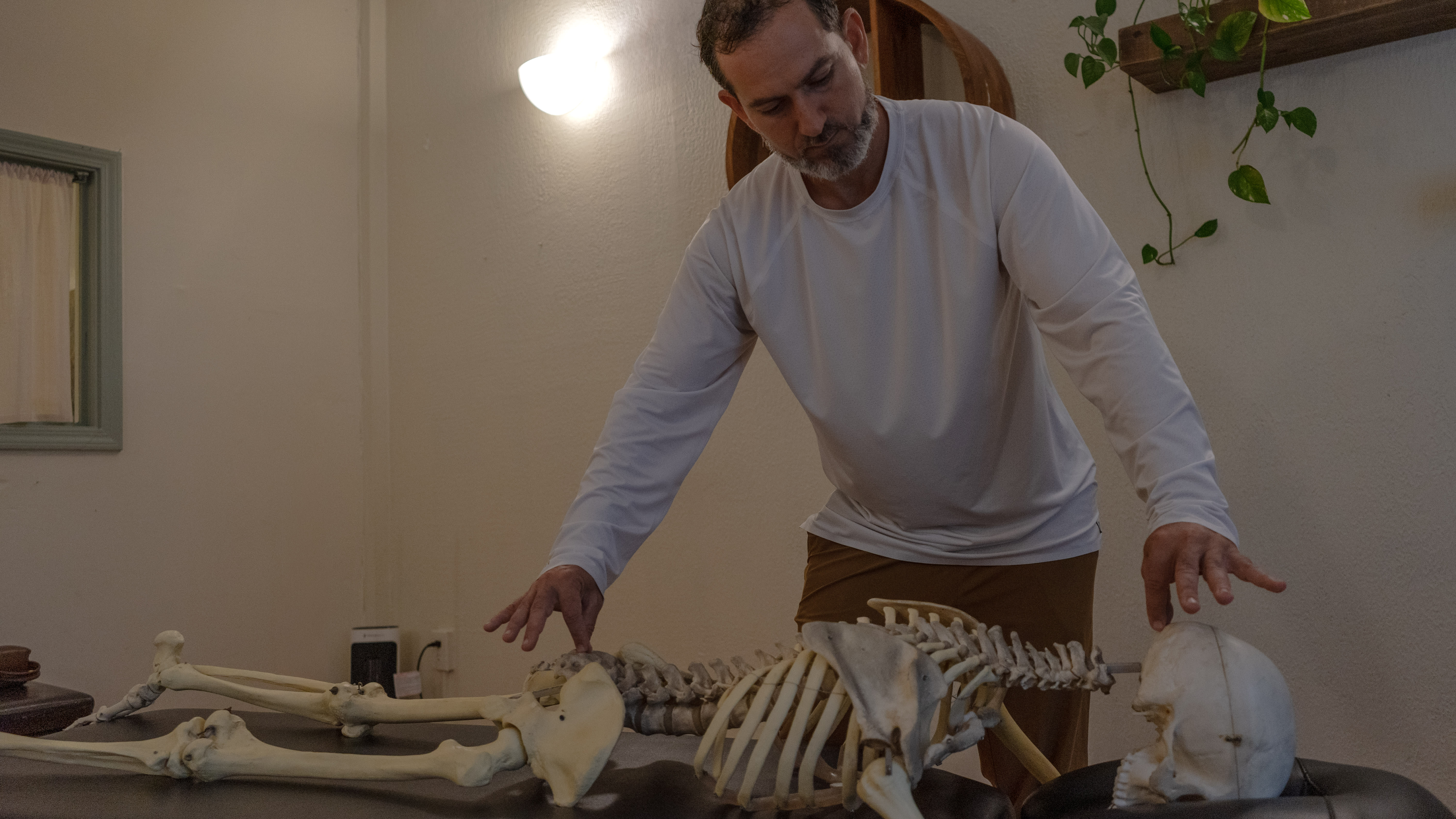Chiropractor performing full spinal assessment