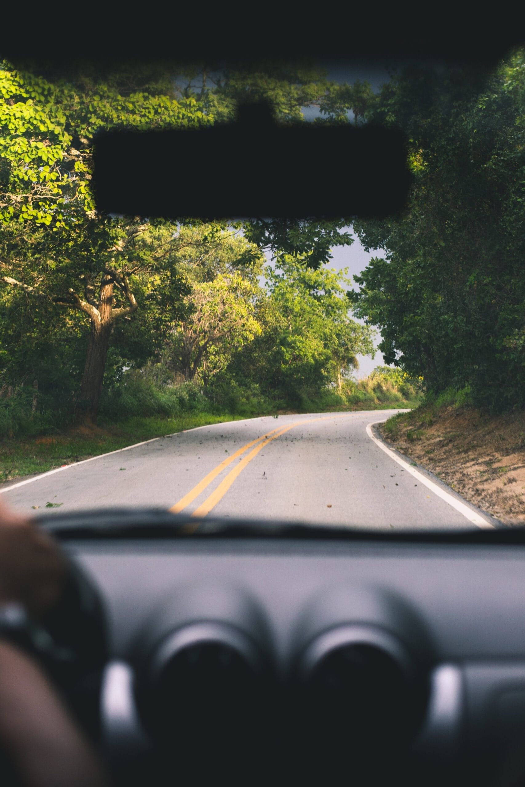 Road view from driver perspective with yellow center line and trees on sides