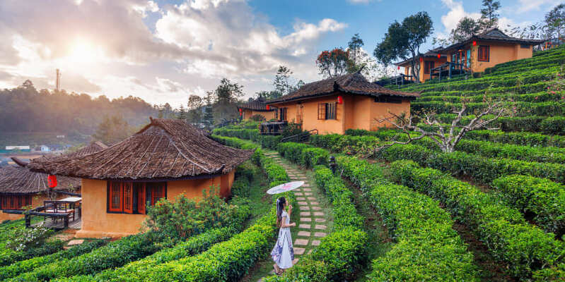 Mengangkat Pariwisata Lokal melalui Infrastruktur Web Modern Cover Image