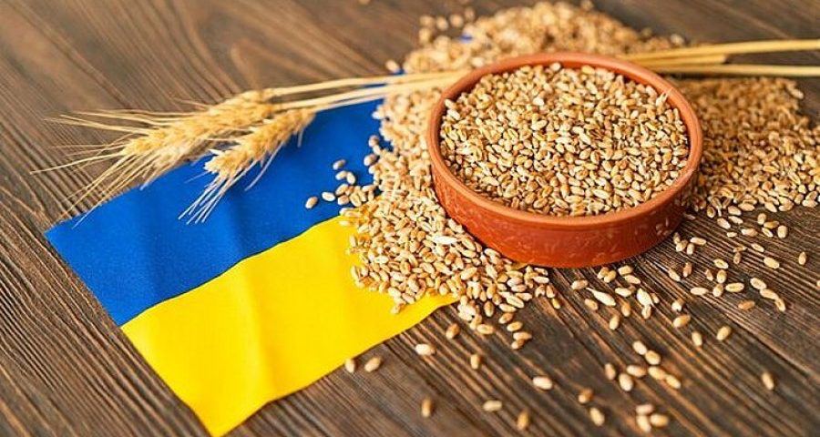 Чи може Україна стати «зерновою Саудівською Аравією»?