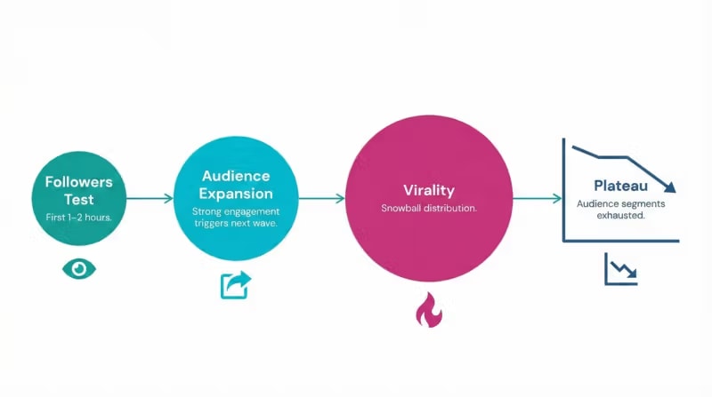 Retention — це новий PageRank: поведінкове SEO та математика популярності TikTok у 2026