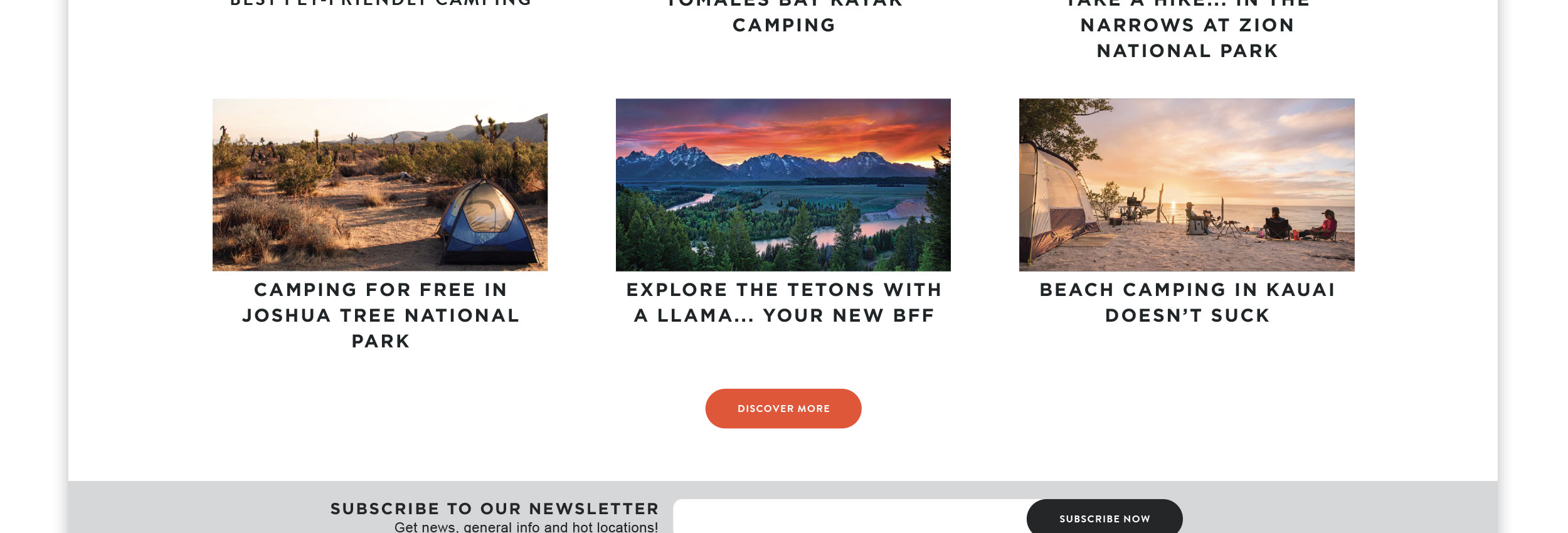 Wanderist branding and app design