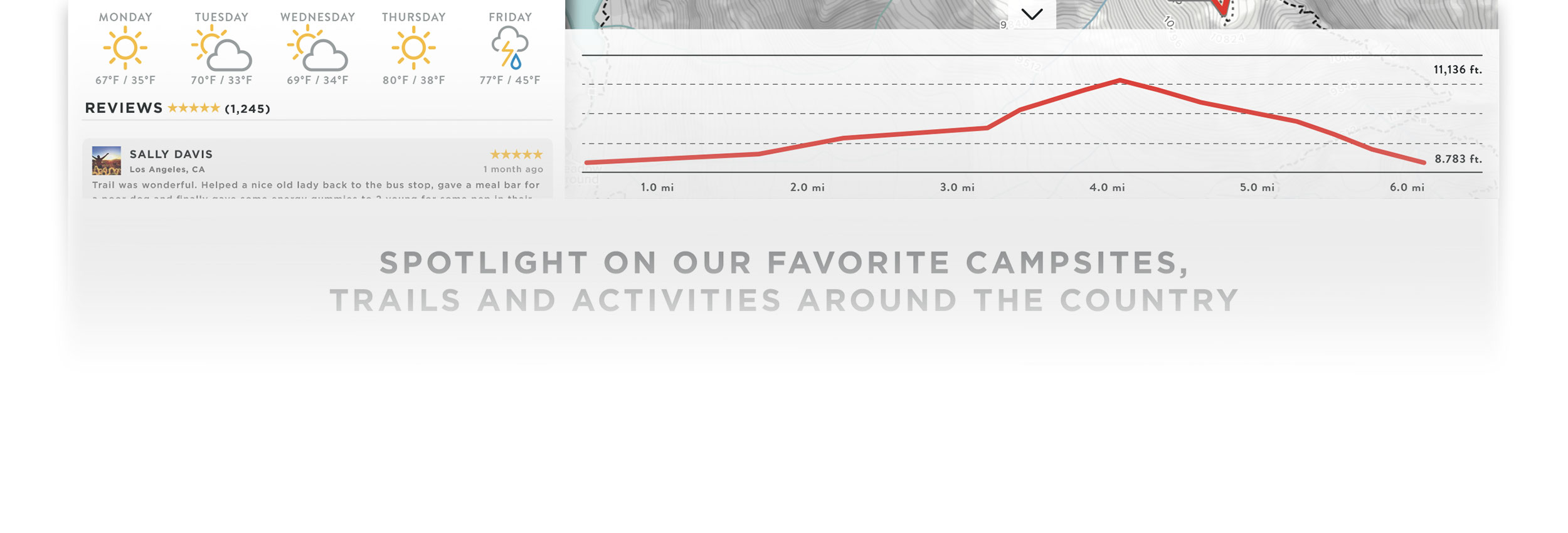 Wanderist branding and app design