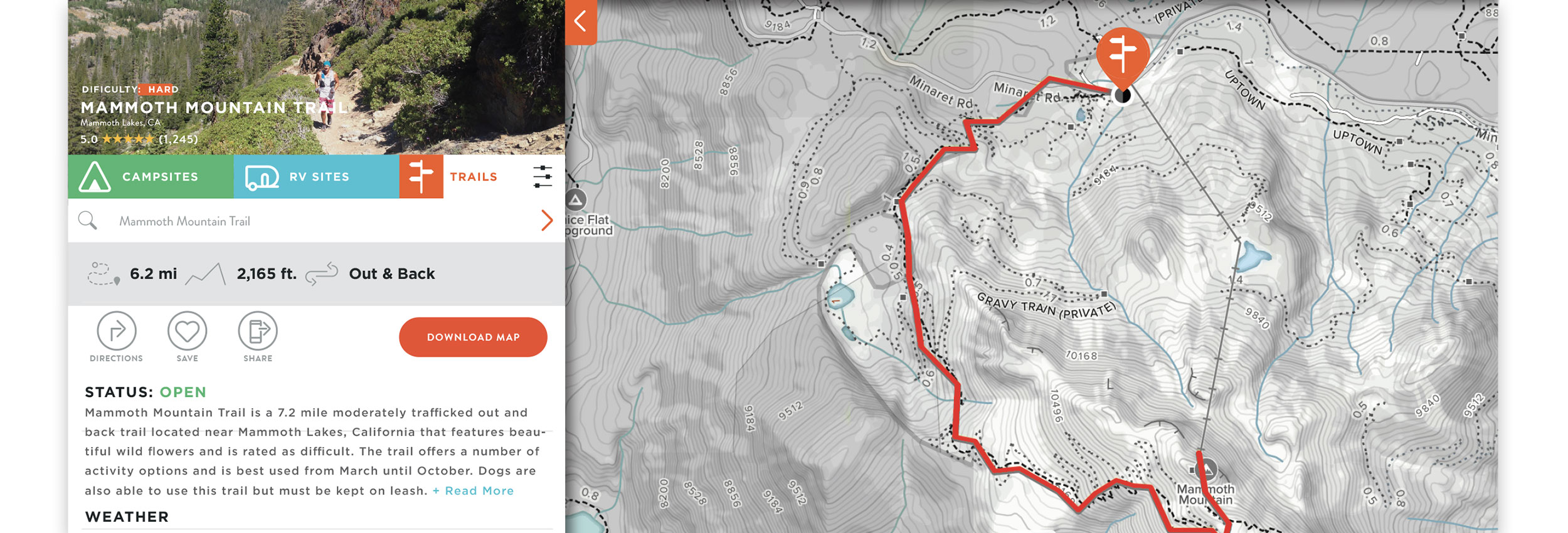 Wanderist branding and app design