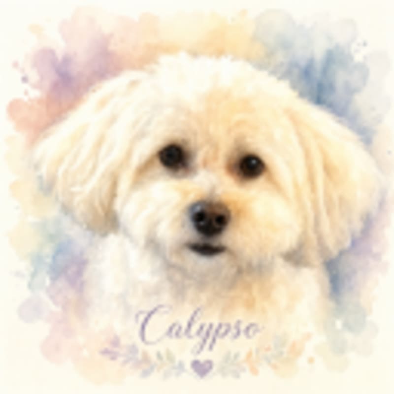 Calypso portrait