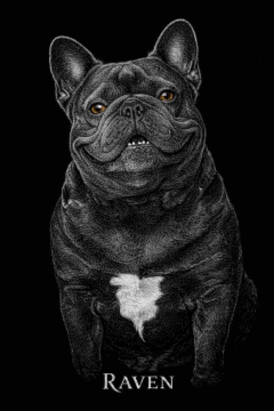 Midnight Etch pet portrait example 3