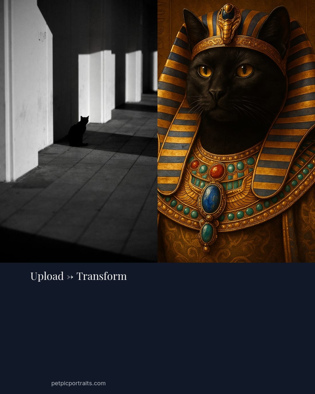 Pharaoh Cat Portrait — The Egyptians understood first. — Pet Pic Portraits