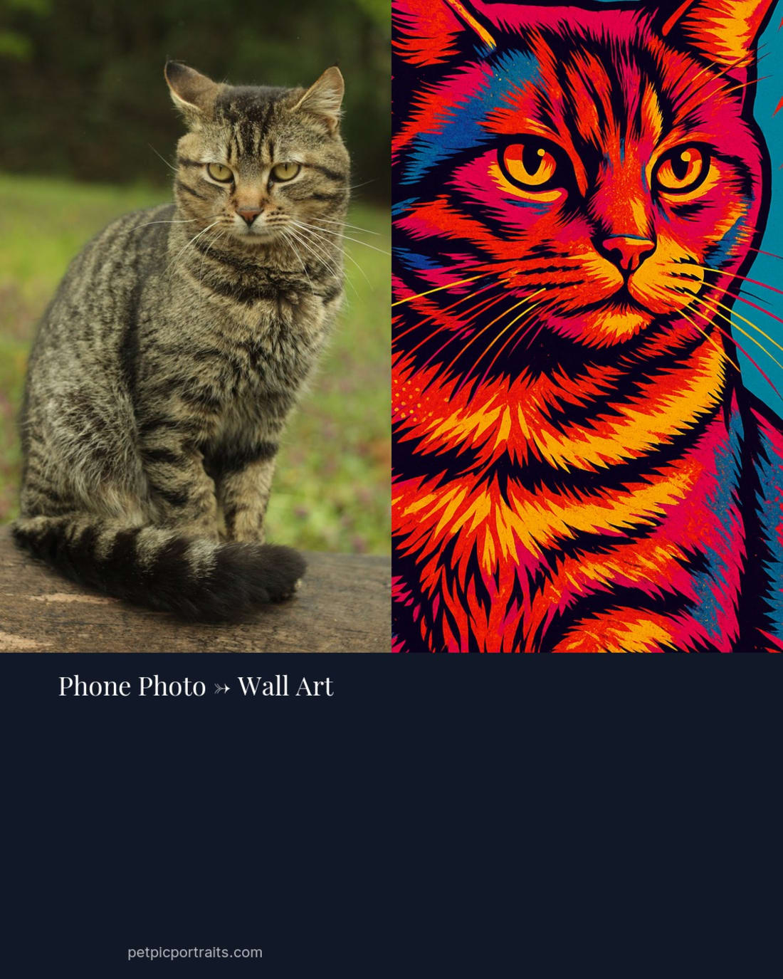 Pop Art Cat Portrait — Already famous in your household. — Pet Pic Portraits