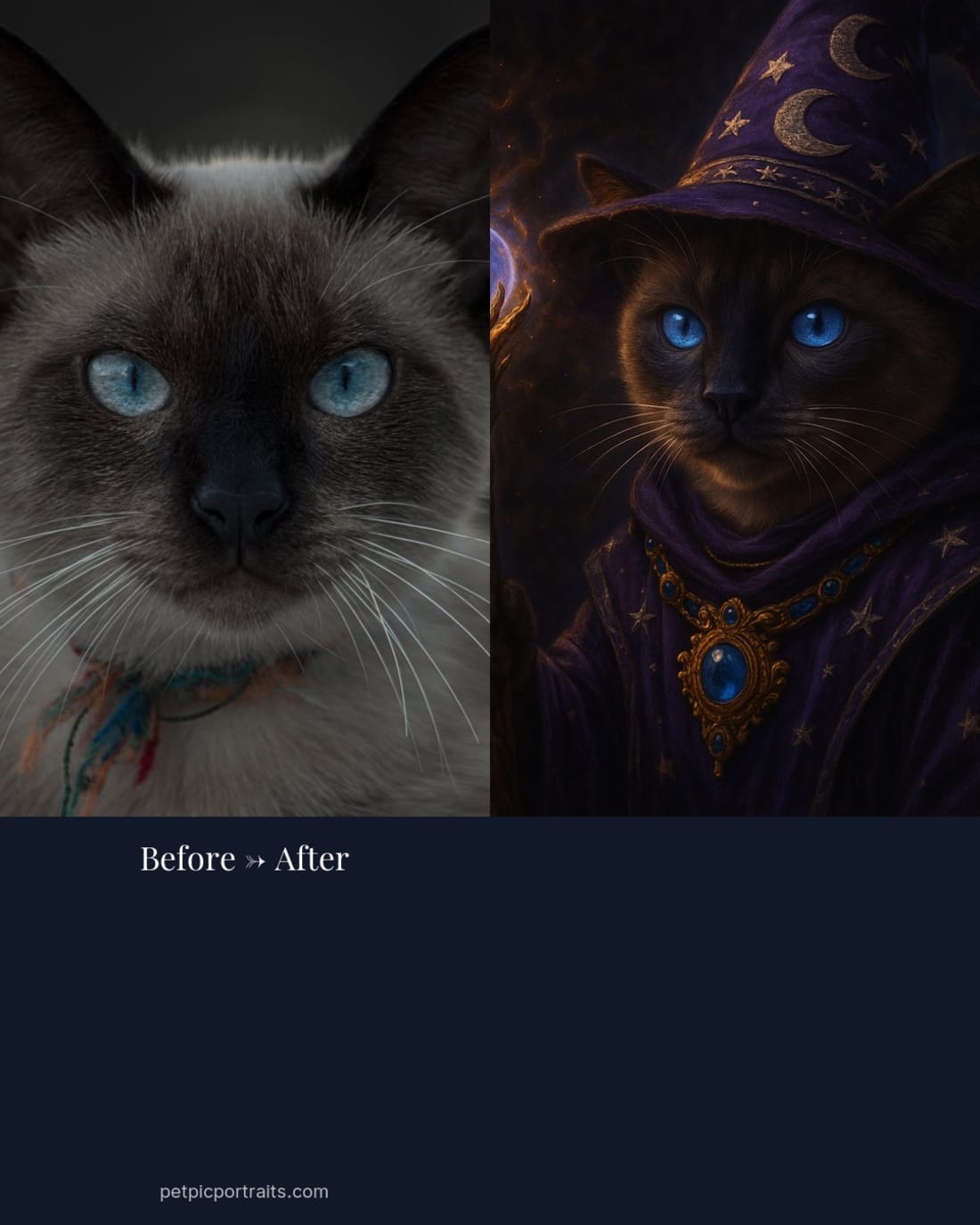 Wizard Cat Portrait — For the cat in possession of secret knowledge. — Pet Pic Portraits