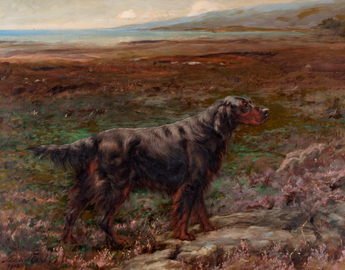 Rum Bess, Gordon Setter by Maud Earl — close-range portrait of a working sporting dog with characteristic psychological specificity